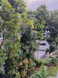 Cavenagh Gardens (D9), Apartment #523554981